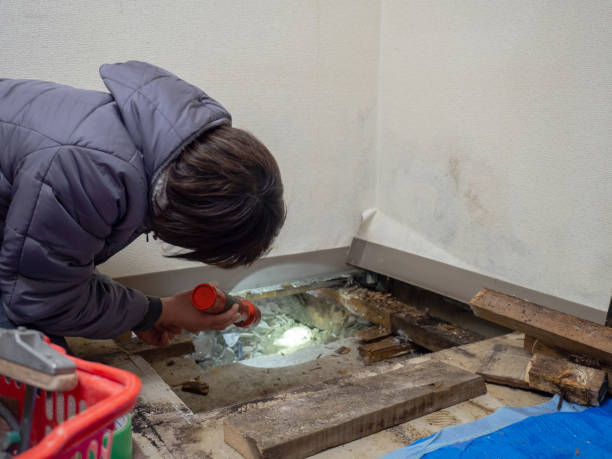 Best Air Quality Testing for Mold Spores  in West Ocean City, MD