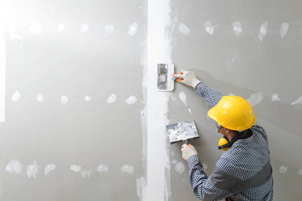 Best Post-Construction Mold Inspection  in West Ocean City, MD